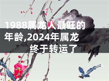 1988属龙人最旺的年龄,2024年属龙终于转运了