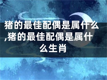 猪的最佳配偶是属什么,猪的最佳配偶是属什么生肖
