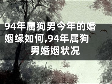 94年属狗男今年的婚姻缘如何,94年属狗男婚姻状况