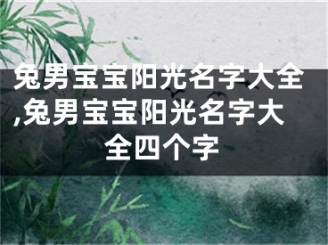 兔男宝宝阳光名字大全,兔男宝宝阳光名字大全四个字
