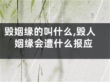 毁姻缘的叫什么,毁人姻缘会遭什么报应