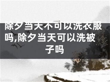 除夕当天不可以洗衣服吗,除夕当天可以洗被子吗