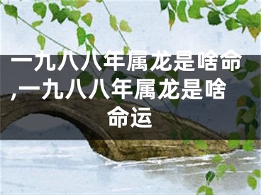 一九八八年属龙是啥命,一九八八年属龙是啥命运