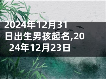 2024年12月31日出生男孩起名,2024年12月23日