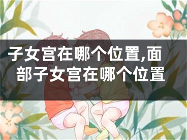 子女宫在哪个位置,面部子女宫在哪个位置