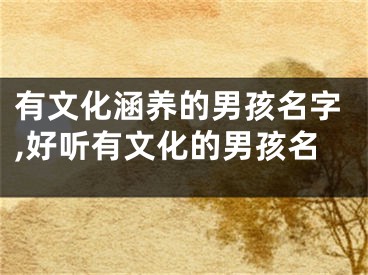 有文化涵养的男孩名字,好听有文化的男孩名