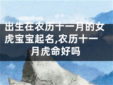 出生在农历十一月的女虎宝宝起名,农历十一月虎命好吗