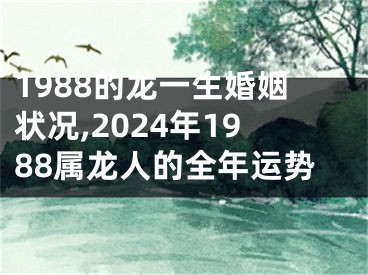 1988的龙一生婚姻状况,2024年1988属龙人的全年运势
