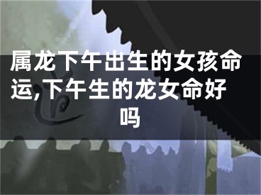 属龙下午出生的女孩命运,下午生的龙女命好吗