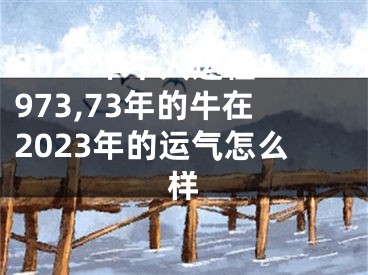 2024年牛人运程1973,73年的牛在2023年的运气怎么样