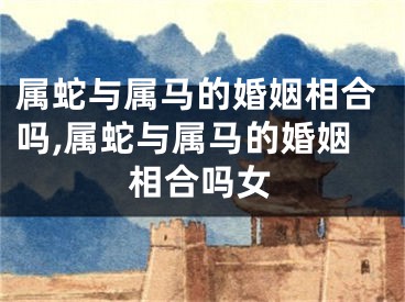 属蛇与属马的婚姻相合吗,属蛇与属马的婚姻相合吗女