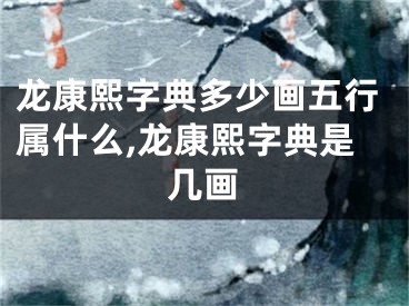 龙康熙字典多少画五行属什么,龙康熙字典是几画