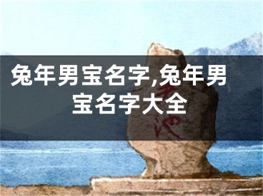 兔年男宝名字,兔年男宝名字大全