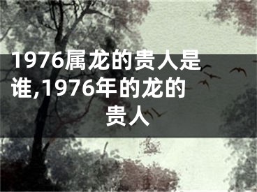 1976属龙的贵人是谁,1976年的龙的贵人