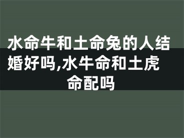 水命牛和土命兔的人结婚好吗,水牛命和土虎命配吗