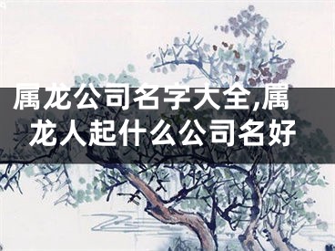 属龙公司名字大全,属龙人起什么公司名好