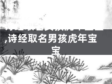 诗经取名女孩虎年宝宝,诗经取名男孩虎年宝宝