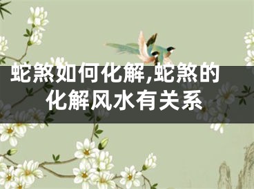 蛇煞如何化解,蛇煞的化解风水有关系