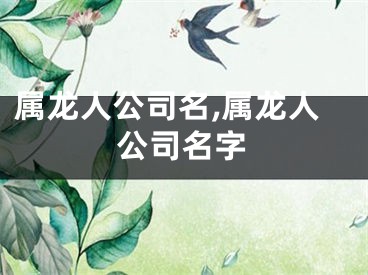 属龙人公司名,属龙人公司名字