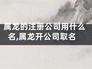 属龙的注册公司用什么名,属龙开公司取名