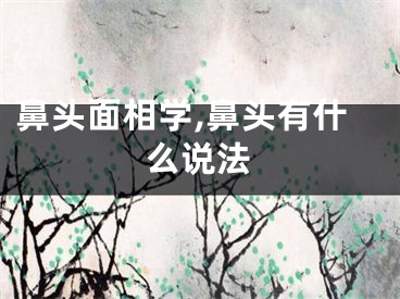 鼻头面相学,鼻头有什么说法