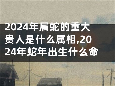 2024年属蛇的重大贵人是什么属相,2024年蛇年出生什么命