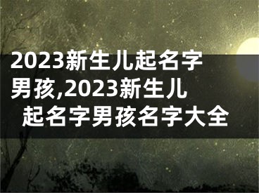2023新生儿起名字男孩,2023新生儿起名字男孩名字大全