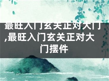 最旺入门玄关正对大门,最旺入门玄关正对大门摆件
