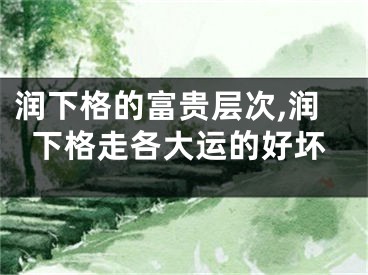 润下格的富贵层次,润下格走各大运的好坏