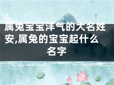 属兔宝宝洋气的大名姓安,属兔的宝宝起什么名字