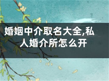 婚姻中介取名大全,私人婚介所怎么开