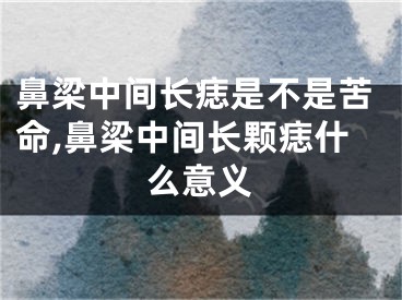 鼻梁中间长痣是不是苦命,鼻梁中间长颗痣什么意义
