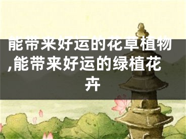 能带来好运的花草植物,能带来好运的绿植花卉