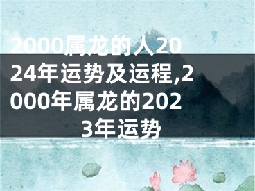 2000属龙的人2024年运势及运程,2000年属龙的2023年运势
