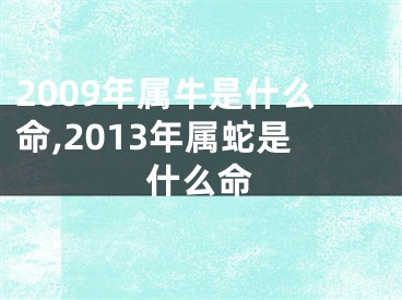 2009年属牛是什么命,2013年属蛇是什么命