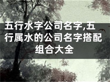 五行水字公司名字,五行属水的公司名字搭配组合大全