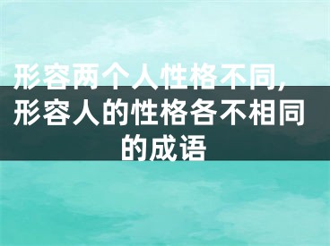 形容两个人性格不同,形容人的性格各不相同的成语