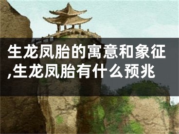 生龙凤胎的寓意和象征,生龙凤胎有什么预兆