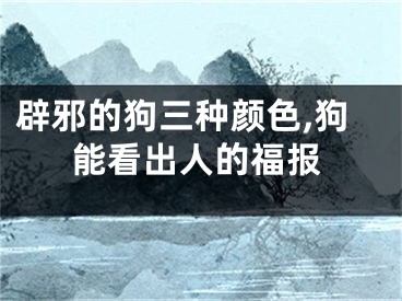 辟邪的狗三种颜色,狗能看出人的福报