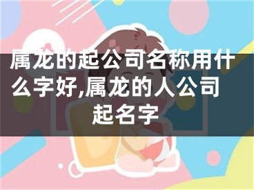 属龙的起公司名称用什么字好,属龙的人公司起名字