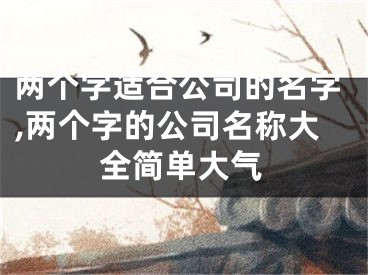 两个字适合公司的名字,两个字的公司名称大全简单大气