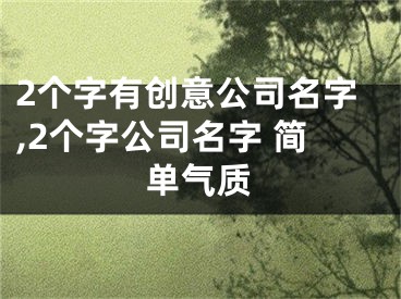 2个字有创意公司名字,2个字公司名字 简单气质