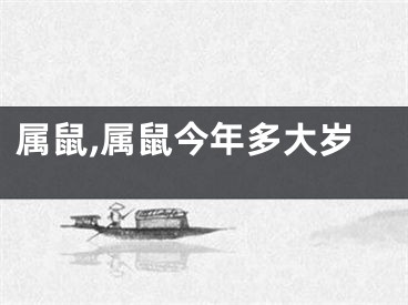 属鼠,属鼠今年多大岁