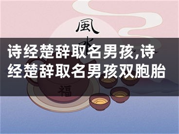 诗经楚辞取名男孩,诗经楚辞取名男孩双胞胎