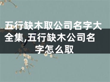 五行缺木取公司名字大全集,五行缺木公司名字怎么取