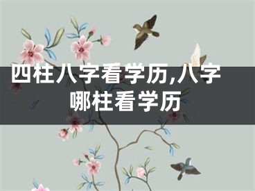 四柱八字看学历,八字哪柱看学历