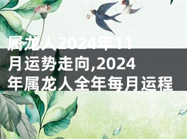 属龙人2024年11月运势走向,2024年属龙人全年每月运程