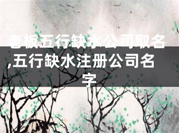 老板五行缺水公司取名,五行缺水注册公司名字