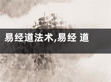 易经道法术,易经 道