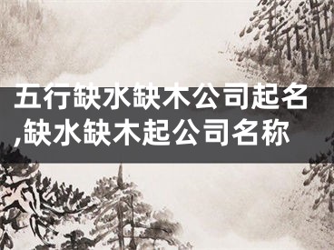 五行缺水缺木公司起名,缺水缺木起公司名称